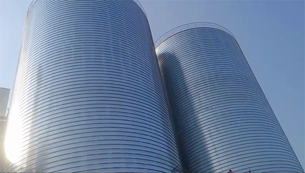 洛江2座混凝土高架卷板仓